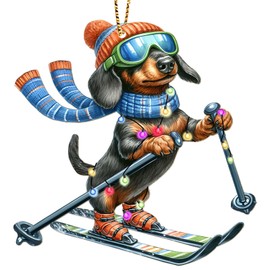 34HD Dachshund Gifts for Christmas, Dachshund Christmas Ornament 2024 Wooden 2-Side Printed, Dog Gifts for Dog Lovers, Women, Men, Dachshund Skiing Christmas Decorations