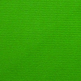 The Ribbon People Bold Forest Green Grosgrain Gift Wrap Craft Paper 27" x 328'
