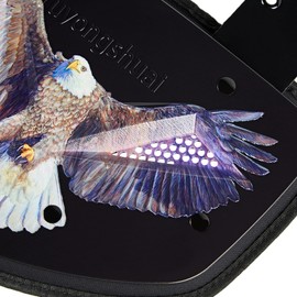 Yuyongshuai Football Back Plate, Football Low Back Pad, Professional Rear Protector Lower Back Pads for Players. (Black Brown)