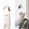 SONGWAY Cat Toy, Cat Feathers, Insects, Fluffy, Natural Feathers, Primary