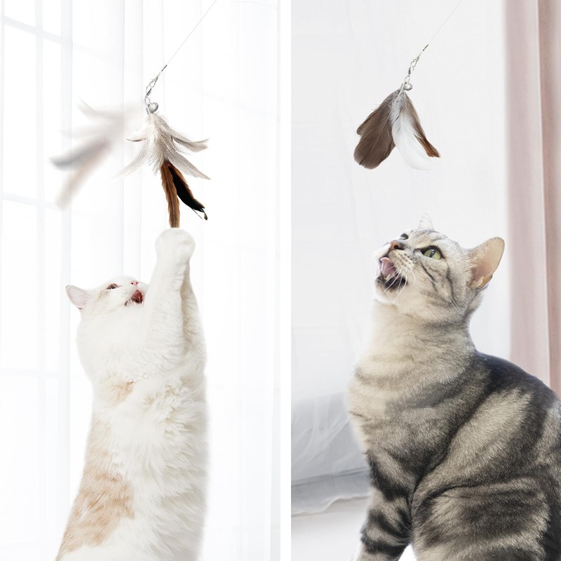 SONGWAY Cat Toy, Cat Feathers, Insects, Fluffy, Natural Feathers, Primary