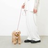 Monchéri Dog Harness, Cooling Ice Cream Pattern Harness + Lead