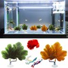 AncBace Fish Leaf Pad Betta Leaf Hammocks with Suction Cup