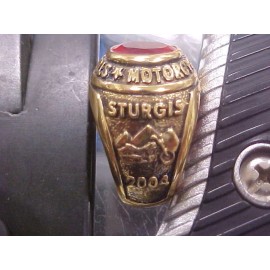 NEW 2004 Sturgis Motorcycle Rally Gold Ring Womens Size 7 Red Stone