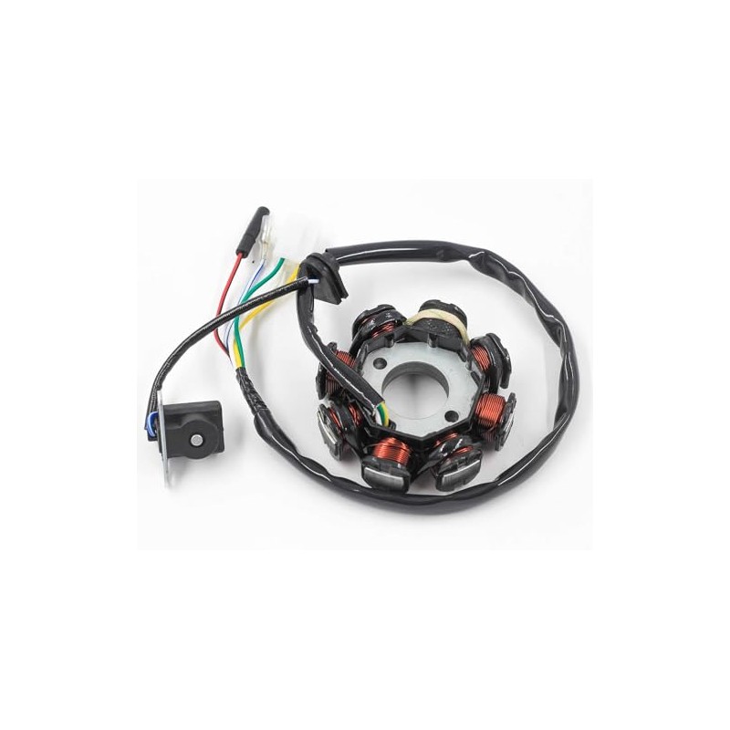 Trkimal Ignition Coil AC 8-Pin 5 Wires Stator Magneto 4-Stroke