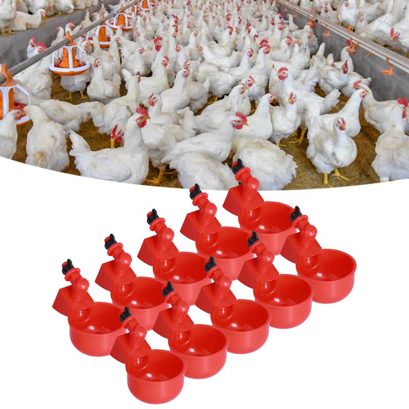 Automatic Chicken Waterer Hanging Water Cups for Quail Pigeon Duck