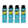 Raid Ant Killer Spray Pine Forest,17.5 Ounce (Pack of 4)