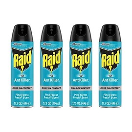 Raid Ant Killer Spray Pine Forest,17.5 Ounce (Pack of 4)