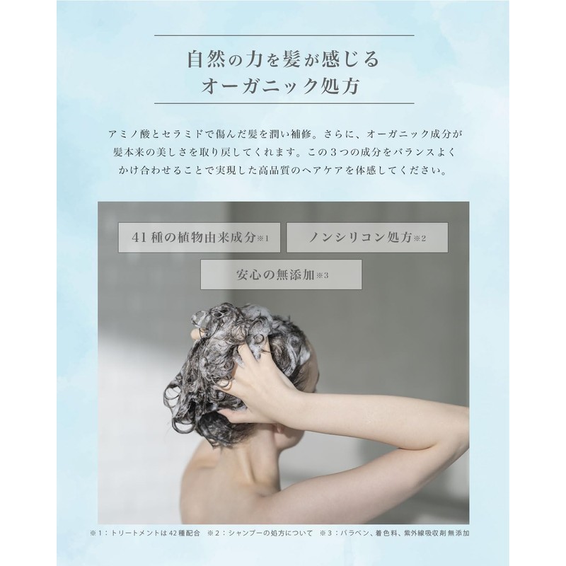 H & Ash and Shampoo Treatment, Beauty Salon Exclusive Amino