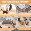 Cat Wheel,Cat Exercise Wheel,41.3" High Large Cat Treadmill with Carpeted