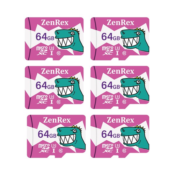 ZenRex 64GB Pack of 1, 6 Count Micro SDXC High