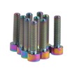 Dingtai Titanium Bolts M6 1.0 inch (25 mm) Allen Hex