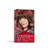 Revlon Colorsilk Haircolor, Medium Golden Brown, 2.4 Ounces (Pack of