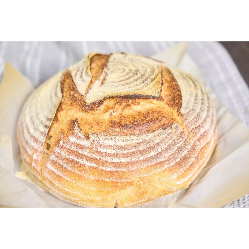 Heritage Sourdough DEHYDRATED SOURDOUGH STARTER ACTIVE NAPLES ITALY ITALIAN TASTY