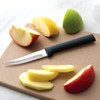 RADA Cutlery Heavy Duty Paring Knife, Black Handle, Pack of