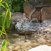 esotec Solar Single Pump Pond Pump Fountain 250 330 LED,