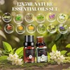 Aromatherapy Diffuser & 12 Essential Oils Set, 500 ML Ultrasonic