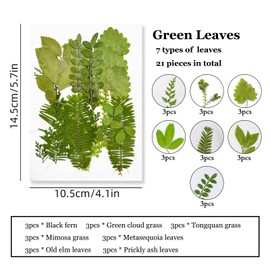 Asopetch 36 Pieces Dried Pressed Leaves Dried Flowers for Resin Real Assorted Dried Greenery for Pressed Leaf Art Craft DIY Embellishment Decorations (C Styles)