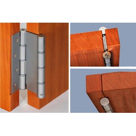 1 Pair Two Action Spring Hinges Spring Hinges for Hinge Door Salon Coffee Hinges for Living Room Bar Sizes (Brass 75mm)