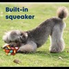 GiGwi Dog Toy, Dog Plush Friends, Amigo Owl