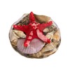 Wattkiste Musselmix Beautiful Decorative Shells for Decorating and Crafting, Large