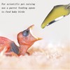 YIUIRUOI 6 Stainless Steel Pet Feeding Spoons, Parrot Feeding Tool,