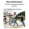 Moss Performance Premium Resistance Bands, for Physical Therapy, Strength Training,