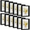 Tuanse 12 Pcs Shadow Box Bulk Display Case Plastic Shadow