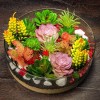 100pcs Mixed Rare Succulent Seeds, Mult-Color Indoor/Outdoor Plant