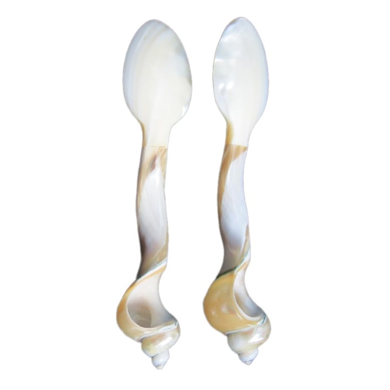 Set of 02 Spoons Shell Spoon Mother of Pearl Caviar