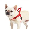 PUPTECK No Pull Dog Harness Small Sized Dog, Adjustable Reflective