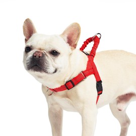PUPTECK No Pull Dog Harness Small Sized Dog, Adjustable Reflective Pet Vest Harness with Bungee Handle, Escape Proof No Choke Harness for Small Dogs Walking Training, Red S