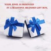 NEWL 925 Sterling Silver Guardian Angel Exquisite Stud Earrings for