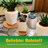 Set of 4 cork pot coasters, 4 coasters in different