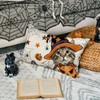 Artoid Mode Cat Jack-O-Lantern Pumpkin Spider Web Halloween Cushion Cover,
