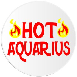 Kiwi Gifts Hot Aquarius - 10 Pack Circle Stickers 3 Inch - Astrological Horoscope Birthday