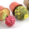 Haofy Flores de Cactus, Mini Plantas Suculentas Artificiales, Encantadora Casa