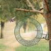 DandC Whole Peanuts Wreath,mangeoire oiseaux Anti ecureuil,Squirrel feeders for Outside,Peanuts