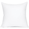 MIULEE 24x24 Inch Throw Pillow Insert Premium Throw Pillow Polyester