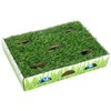 Petstages Caja de Caza con Parche de Hierba para Gatos
