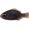 DUO Worm Realis Nomasegil Nonweight Maddygill F022