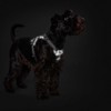 HUNTER Divo Reflect Harness Black/Grey Size L-XL