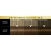 Schwarzkopf Oleo Intense Permanent Brown Hair Dye, Oil Enriched, Ammonia