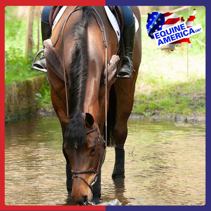 Equine America Horse Electrolytes Energy Performance Powder Pouch