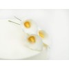 Fine Sugar Flowers Calla Lily Pack of 3