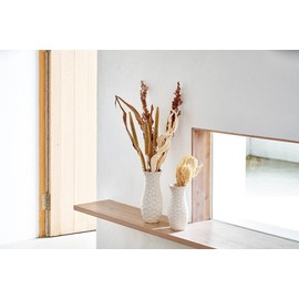 Daichi Farm DO040240-000 Dried Flower Compactor, Natural, Approx. L9.8 x 1.6 - 2.0 inches (25 x 4 - 5 cm), 6 Bottles