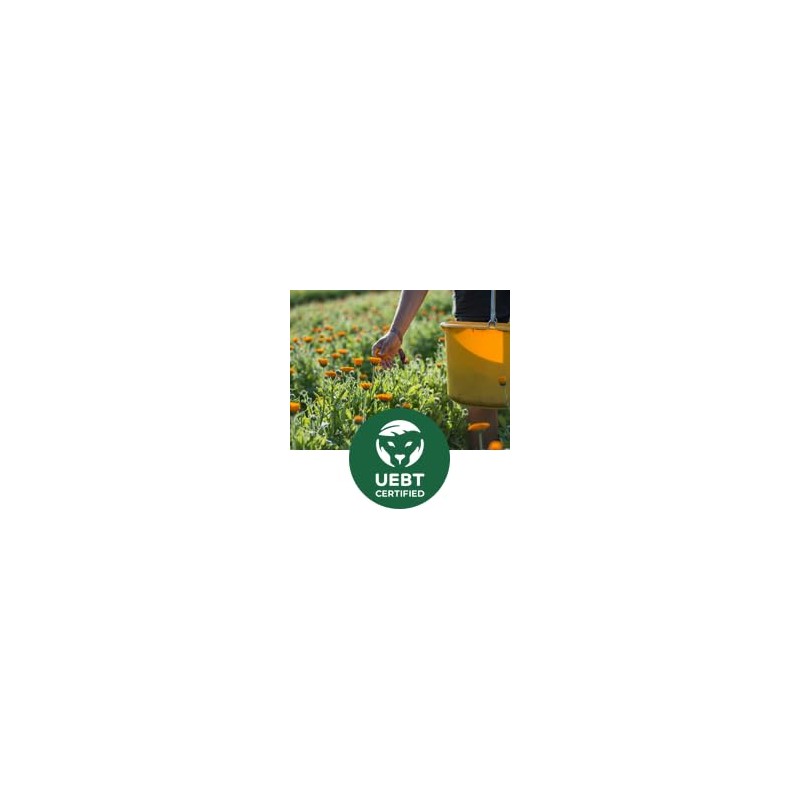 Weleda Childrens Tooth Gel, 1.7-ounce (Pack of 2)