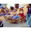 Alvin et les chipmunks 3 [FR Import]