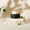 Skin79 시카 파인 인텐스 릴리프 크림 50ml Cica Pine Intense