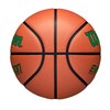 WILSON Evolution Indoor Game Basketball, Green, Size 7-29.5"